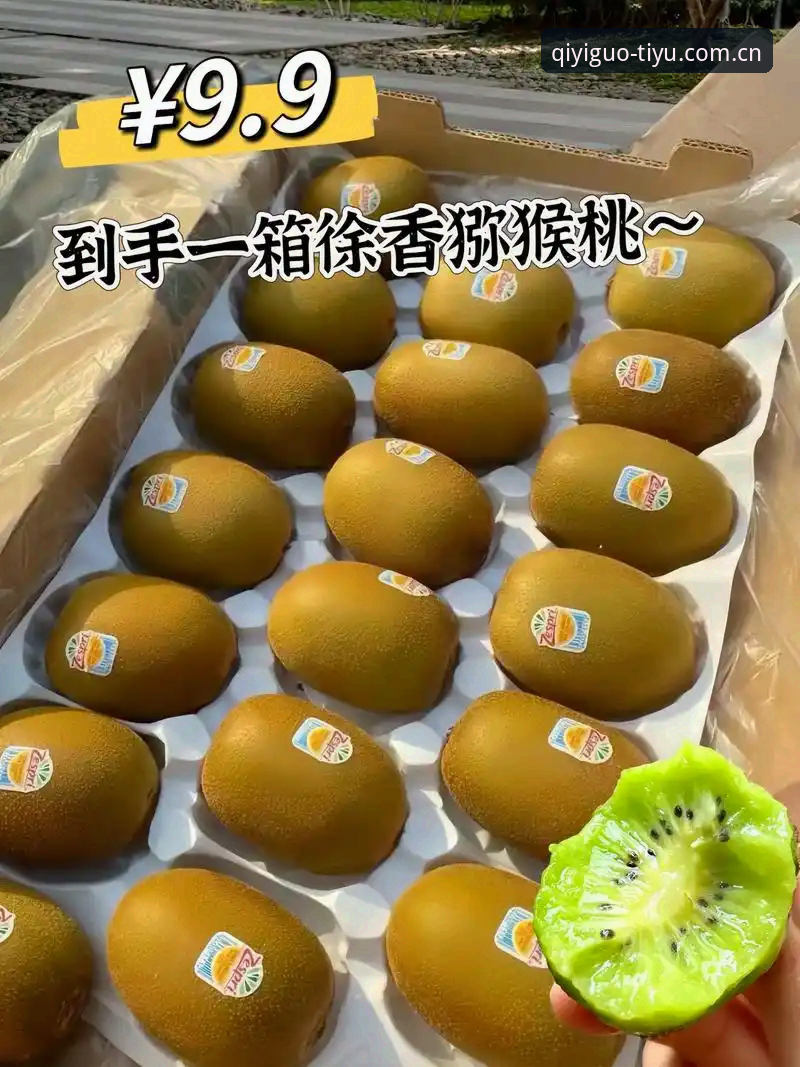 奇异果体育平台2026官方入口最新动态：登录卡顿与下载中断问题迎来集中修复